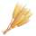 Wheat Wheat